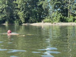 Mainschwimmen Juni 2026